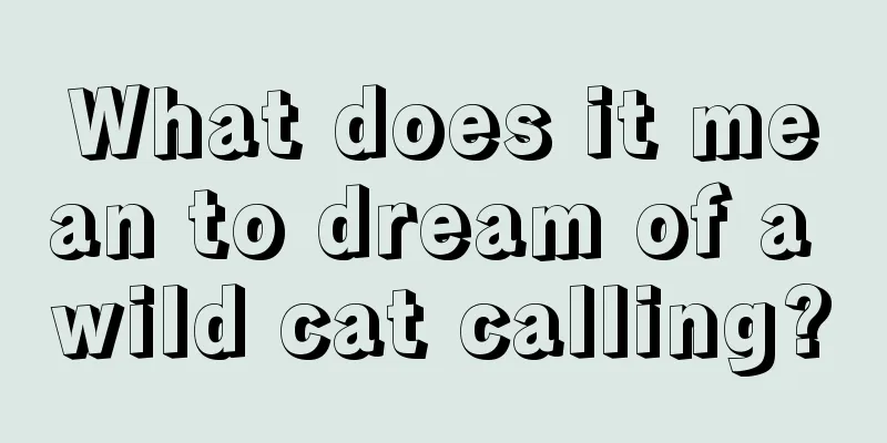 What does it mean to dream of a wild cat calling?