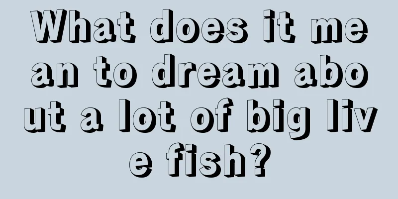 What does it mean to dream about a lot of big live fish?