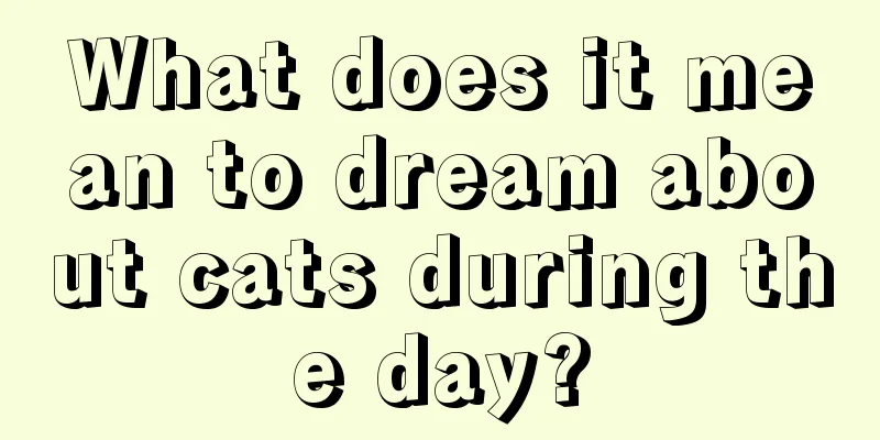 What does it mean to dream about cats during the day?