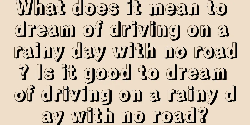 What does it mean to dream of driving on a rainy day with no road? Is it good to dream of driving on a rainy day with no road?