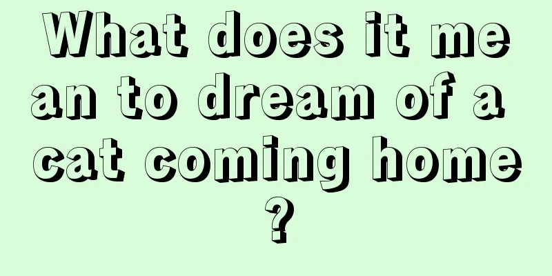 What does it mean to dream of a cat coming home?