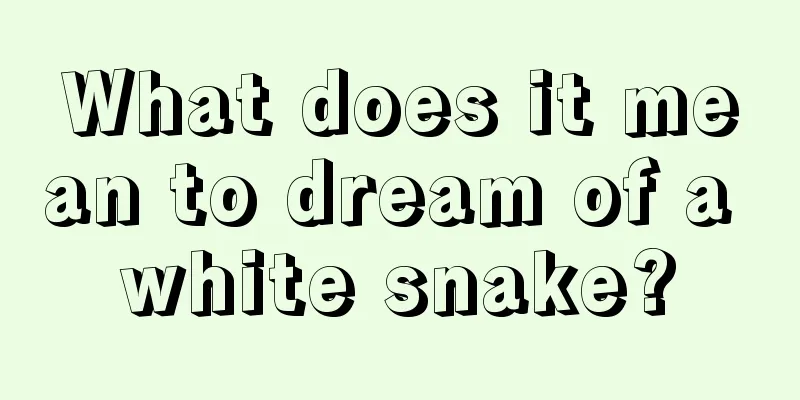 What does it mean to dream of a white snake?