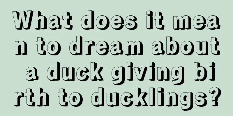 What does it mean to dream about a duck giving birth to ducklings?