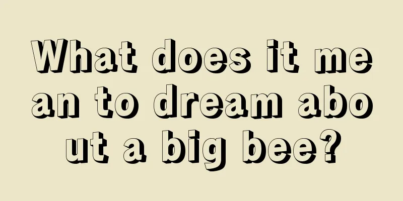 What does it mean to dream about a big bee?