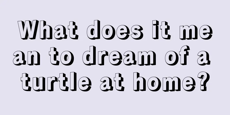 What does it mean to dream of a turtle at home?