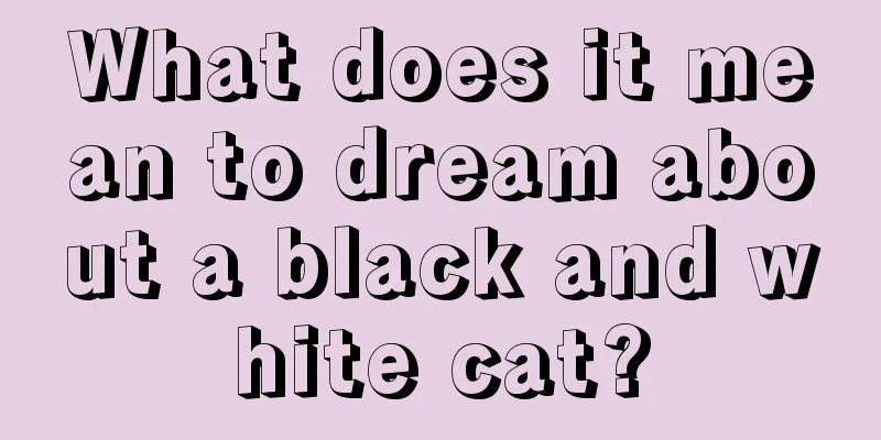 What does it mean to dream about a black and white cat?