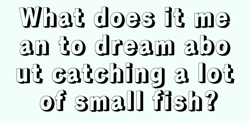 What does it mean to dream about catching a lot of small fish?