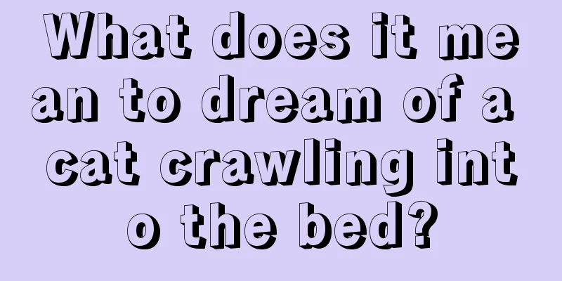 What does it mean to dream of a cat crawling into the bed?