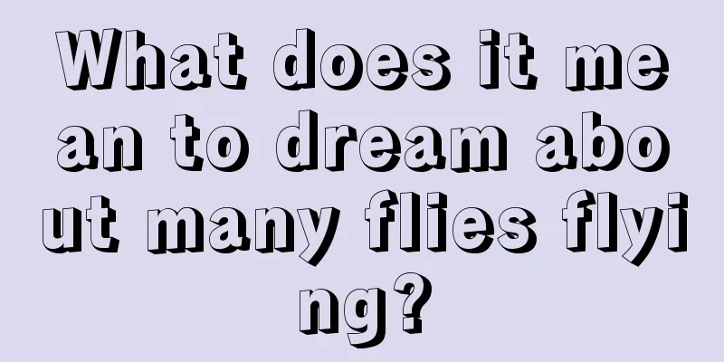 What does it mean to dream about many flies flying?