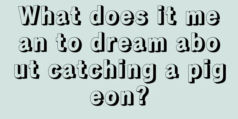 What does it mean to dream about catching a pigeon?