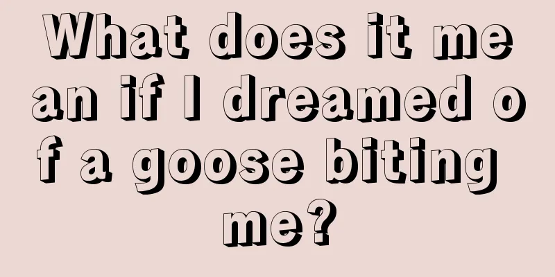 What does it mean if I dreamed of a goose biting me?