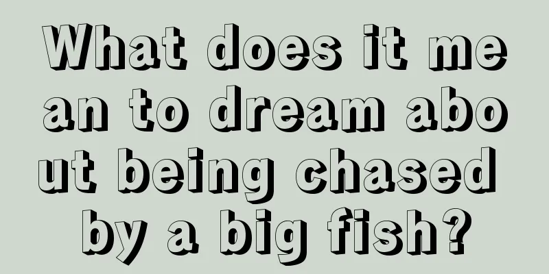 What does it mean to dream about being chased by a big fish?