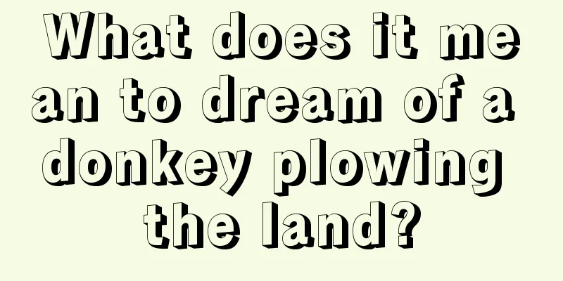 What does it mean to dream of a donkey plowing the land?