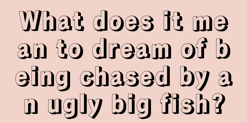 What does it mean to dream of being chased by an ugly big fish?