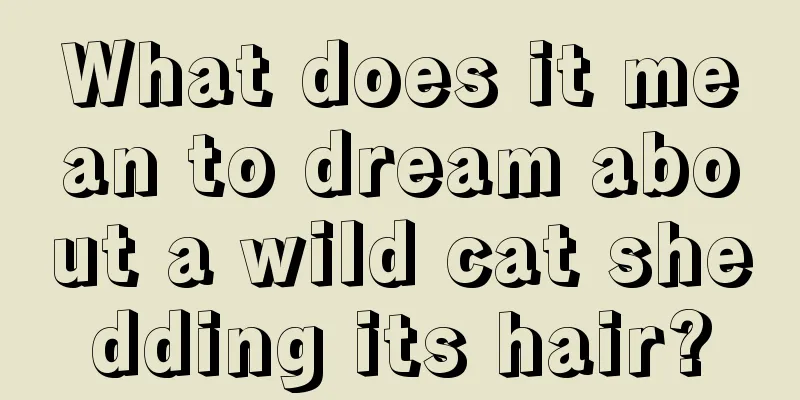 What does it mean to dream about a wild cat shedding its hair?