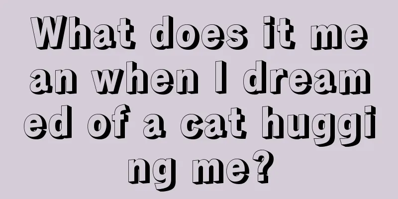 What does it mean when I dreamed of a cat hugging me?