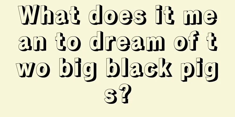 What does it mean to dream of two big black pigs?