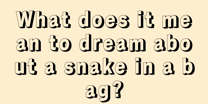 What does it mean to dream about a snake in a bag?