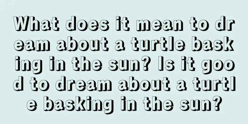 What does it mean to dream about a turtle basking in the sun? Is it good to dream about a turtle basking in the sun?