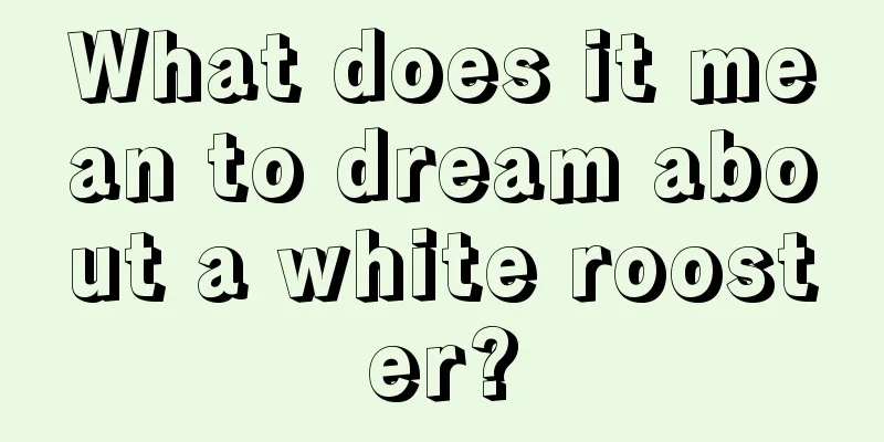 What does it mean to dream about a white rooster?