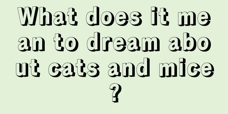 What does it mean to dream about cats and mice?