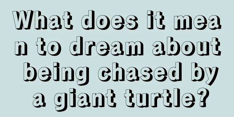 What does it mean to dream about being chased by a giant turtle?