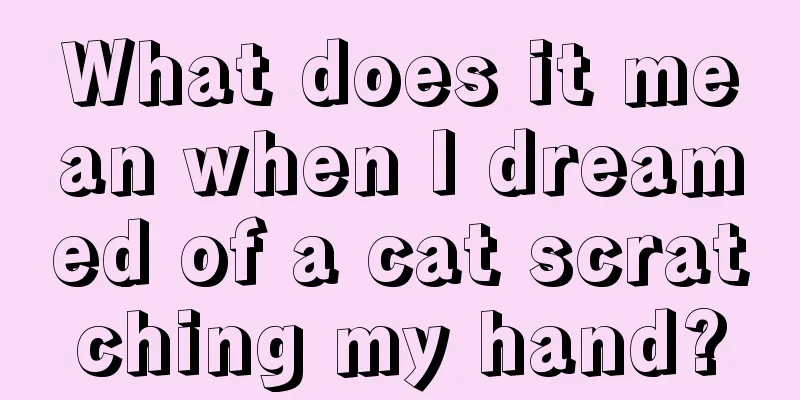 What does it mean when I dreamed of a cat scratching my hand?