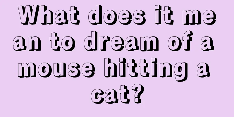 What does it mean to dream of a mouse hitting a cat?