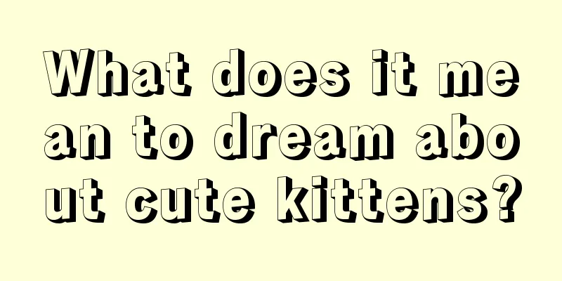 What does it mean to dream about cute kittens?