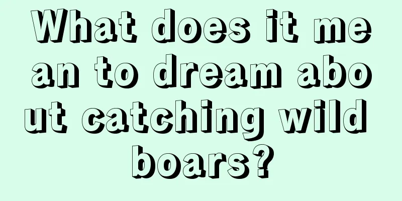 What does it mean to dream about catching wild boars?