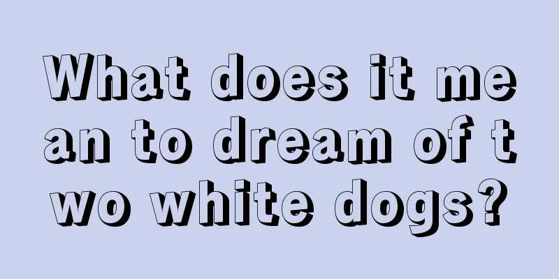 What does it mean to dream of two white dogs?