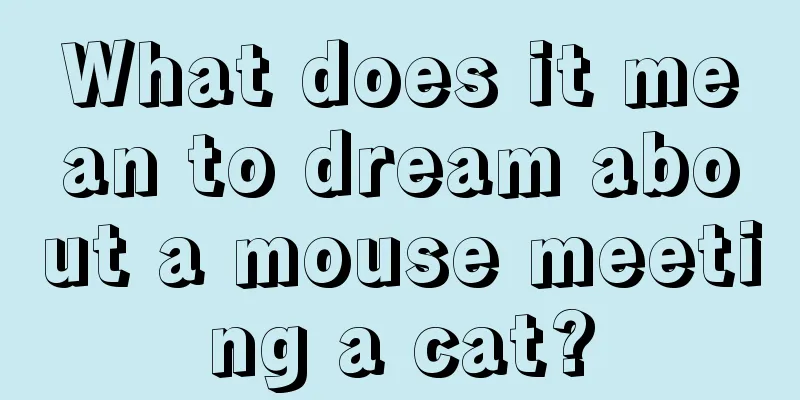 What does it mean to dream about a mouse meeting a cat?