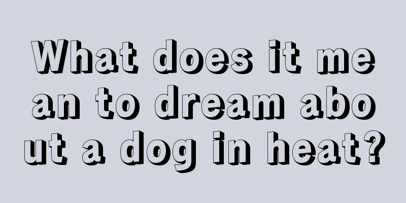 What does it mean to dream about a dog in heat?