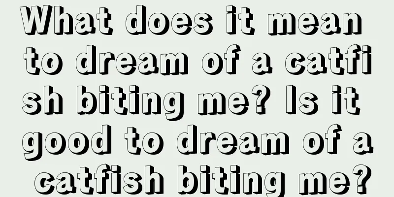 What does it mean to dream of a catfish biting me? Is it good to dream of a catfish biting me?