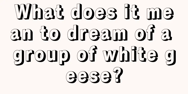 What does it mean to dream of a group of white geese?