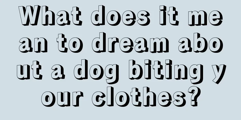 What does it mean to dream about a dog biting your clothes?