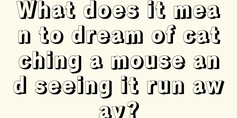 What does it mean to dream of catching a mouse and seeing it run away?