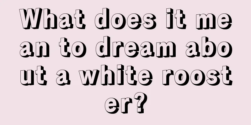 What does it mean to dream about a white rooster?