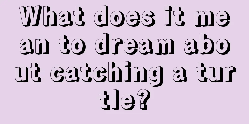 What does it mean to dream about catching a turtle?