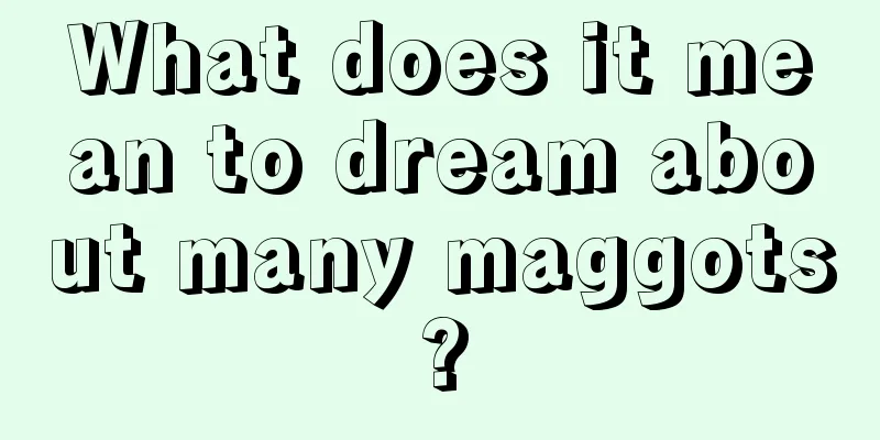 What does it mean to dream about many maggots?