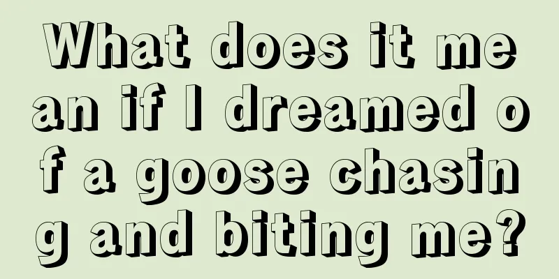 What does it mean if I dreamed of a goose chasing and biting me?