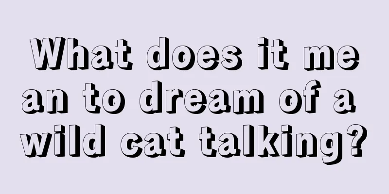 What does it mean to dream of a wild cat talking?