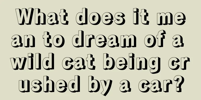 What does it mean to dream of a wild cat being crushed by a car?