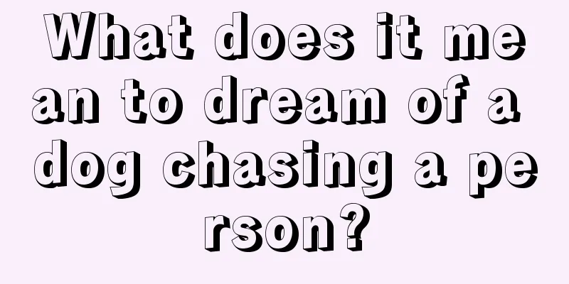 What does it mean to dream of a dog chasing a person?