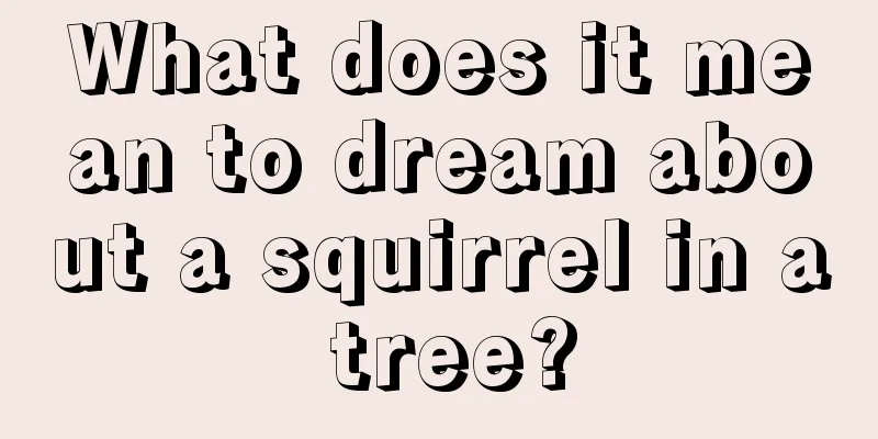 What does it mean to dream about a squirrel in a tree?