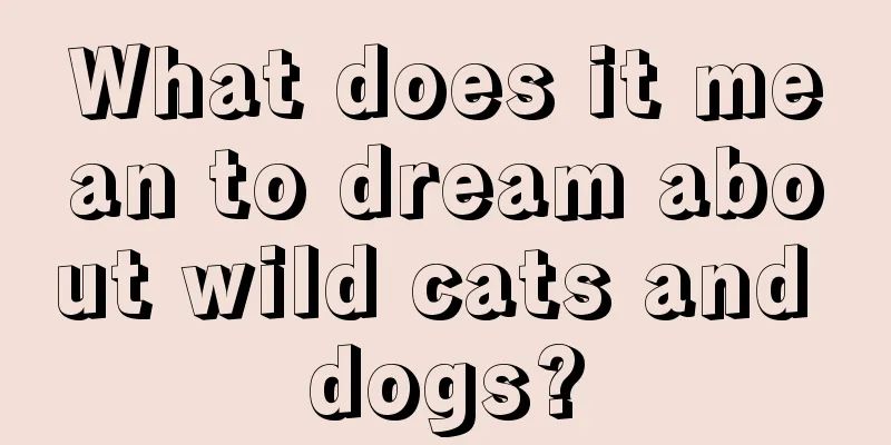 What does it mean to dream about wild cats and dogs?