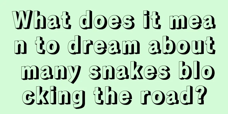 What does it mean to dream about many snakes blocking the road?