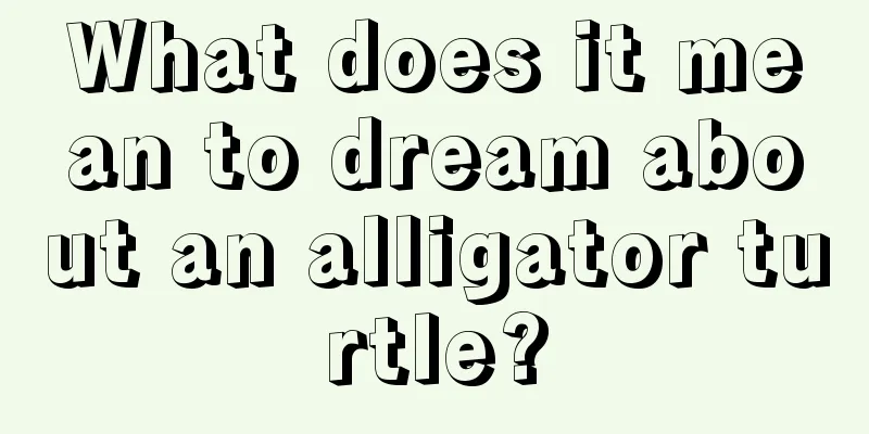 What does it mean to dream about an alligator turtle?