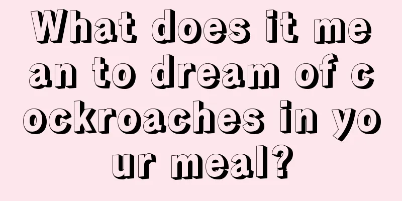 What does it mean to dream of cockroaches in your meal?