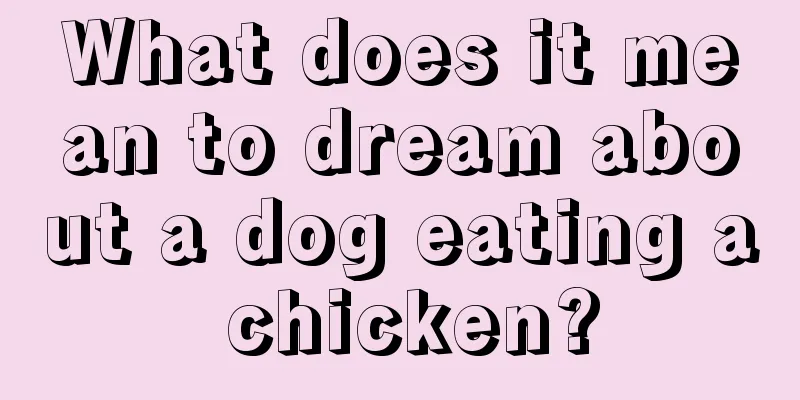 What does it mean to dream about a dog eating a chicken?